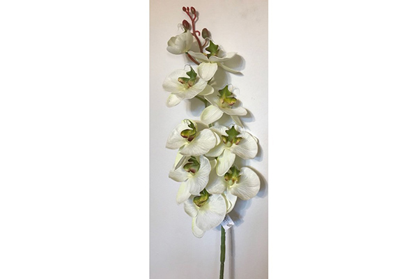 Cvet orhideja 102 cm 4 boje