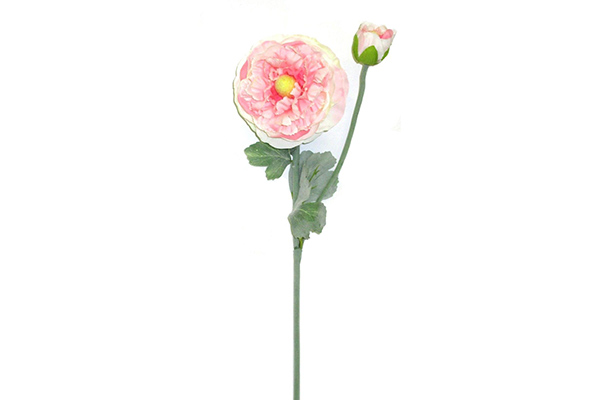 Cvet peonija 50 cm 6 boja