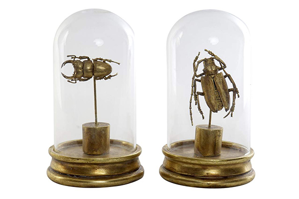 Figure resin glass 12,3x12,3x21 insect 2 mod.