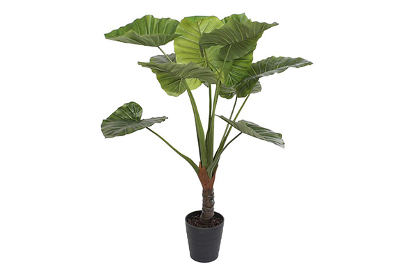 Plant eve pp 80x130 green