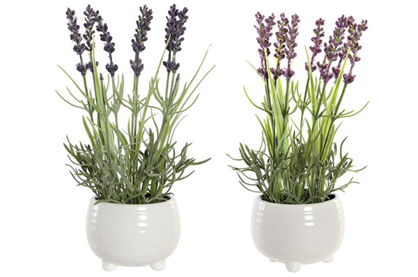 Plant pe dolomite 15x15x25 lavender 2 mod.