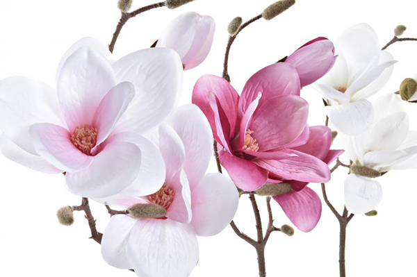 Dekorativna magnolija 20x20x50 3 boje