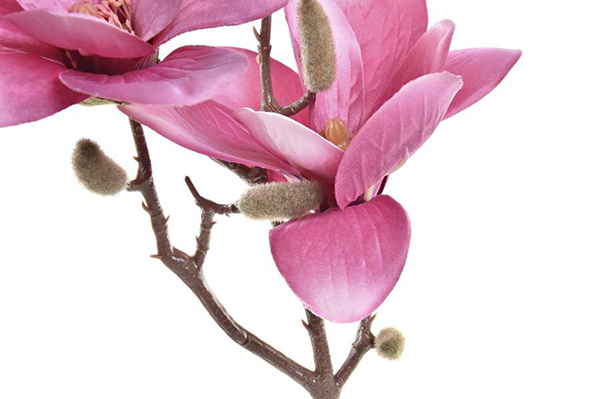 Dekorativna magnolija 20x20x50 3 boje