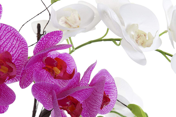 Dekorativna orhideja 32x20x43 2 modela