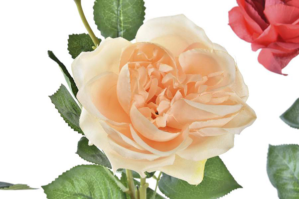 Dekorativna ruža 14x14x65 6 modela