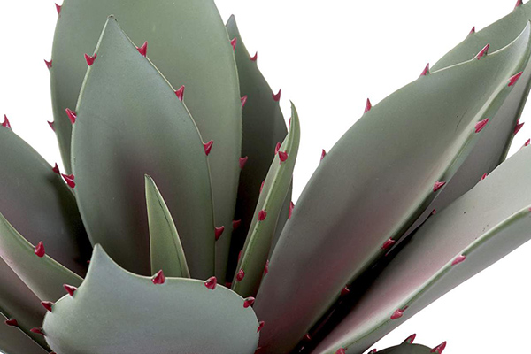 Dekorativni kaktus 52x52x52