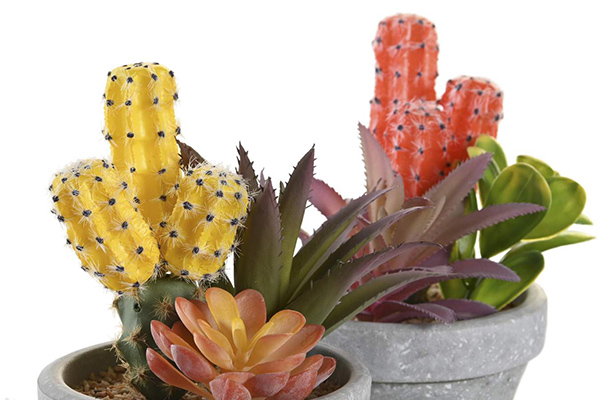 Dekorativni kaktus boje 12x11x19 2 modela