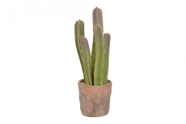 Dekorativni kaktus u saksiji 15x16x42
