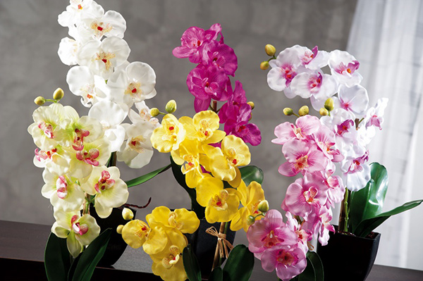 Dekorativno cveće orhideja 10x10x42 3 modela