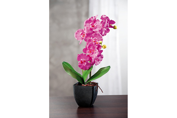 Vaso c/orchidee a6c 10x10xh42