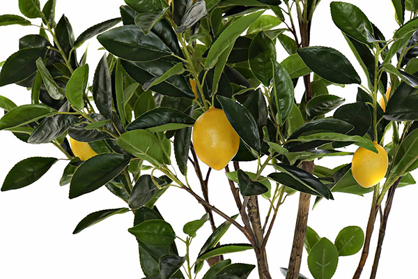 Tree polyester pp 74x74x150 lemon tree green
