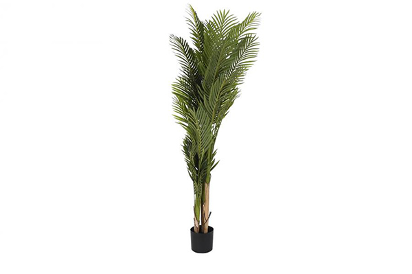 Plant polyester pp 90x90x200 palm tree green