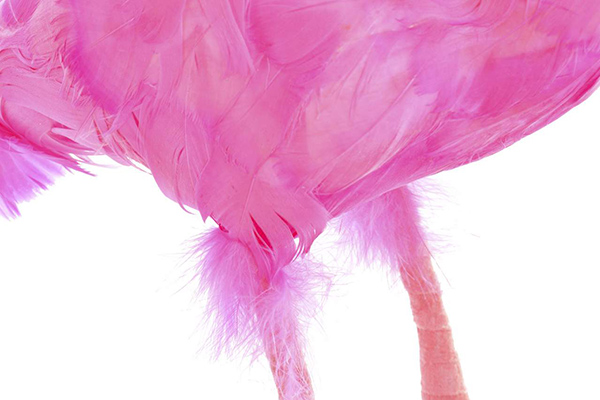 Figure feathers 24x12x55 flemish pink