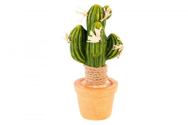 Figure ceramic 9x8x21 cactus