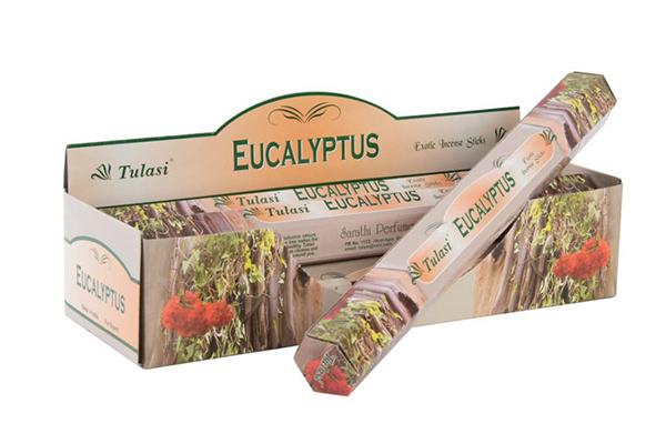 Mirišljavi štapići eukaliptus / 20 25 cm