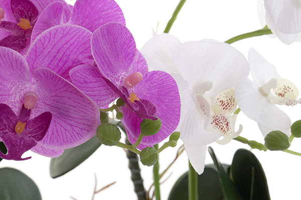 Fleur tissu gr s 36x28x44 orchidÉe 2 mod.