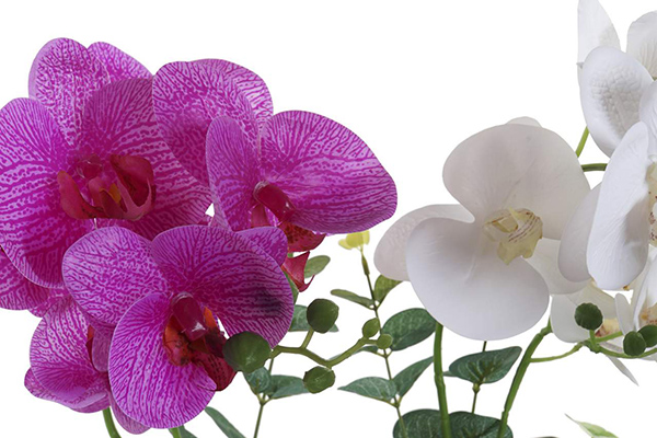 Orhideja u reljefastoj saksiji 32x18x46 2 modela