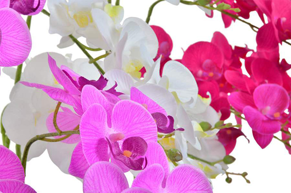 Orhideja u saksiji 15x70 3 modela