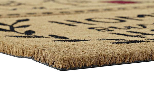 Doormat coconut pvc 60x40x1,5 home natural 2 mod.
