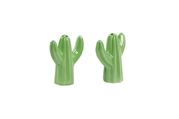 Cactus shaped salt & pepper shaker set