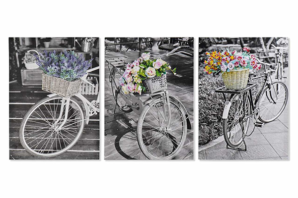 Picture canvas 50x2,5x70 bicycle 3 mod.