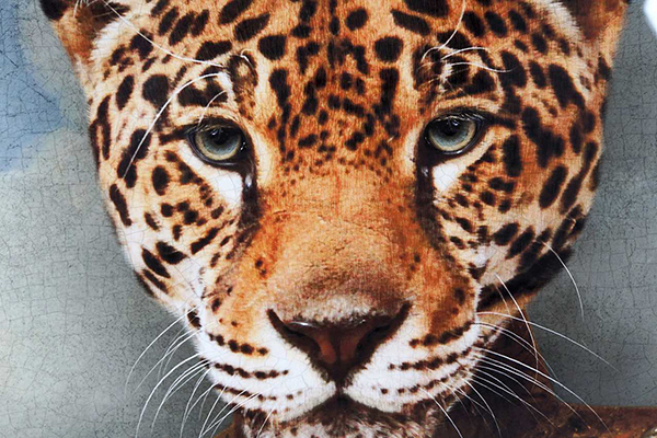 Slika leopard framed 74x3x97