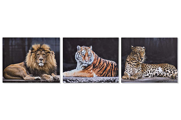 Picture canvas mdf 50x1,8x40 animals 3 mod.