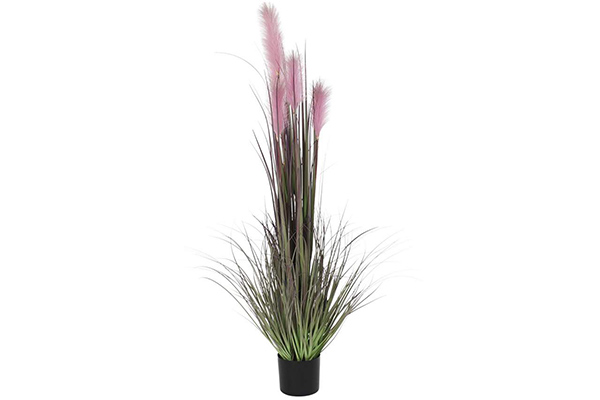 Plant pvc steel 30x30x150 feather duster pink