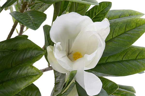 Plant pvc 57x55x90 magnolia