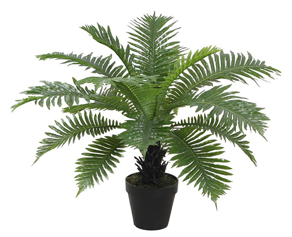 Plant pvc 80x80x60 fern green