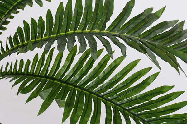 Plant pvc 80x80x60 fern green