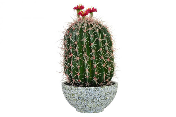 Plant pvc cement 19x19x40 cactus