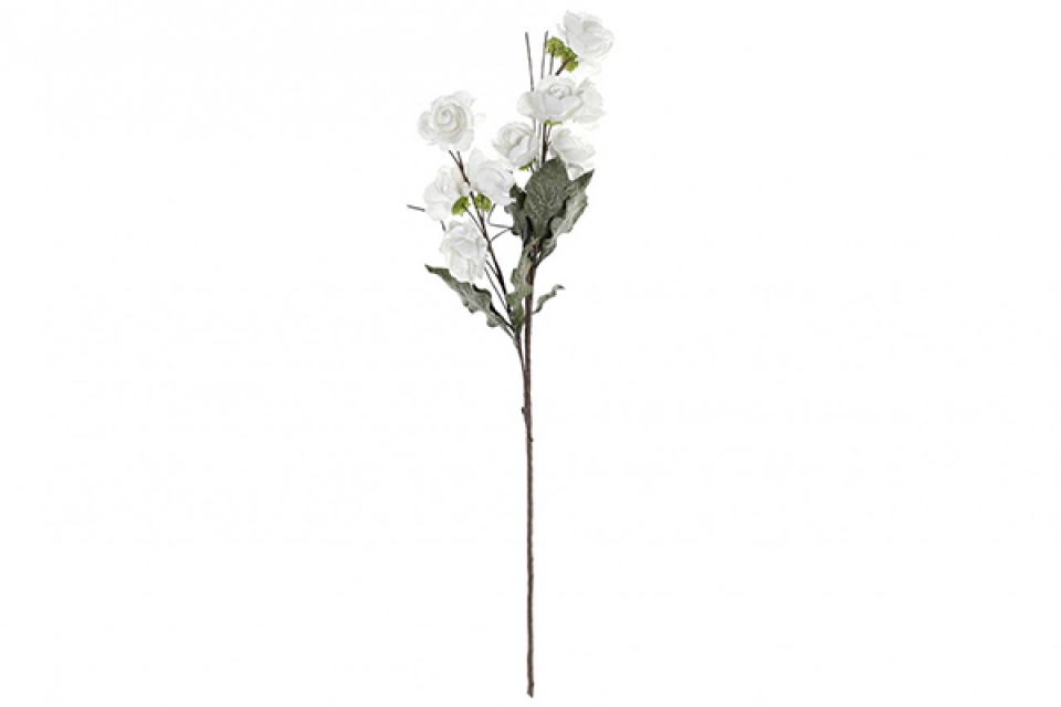 Fleur eva 37x37x102 roses blanc