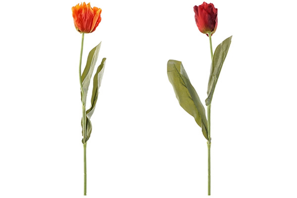 Flower pe iron 8x58 tulip 2 mod.