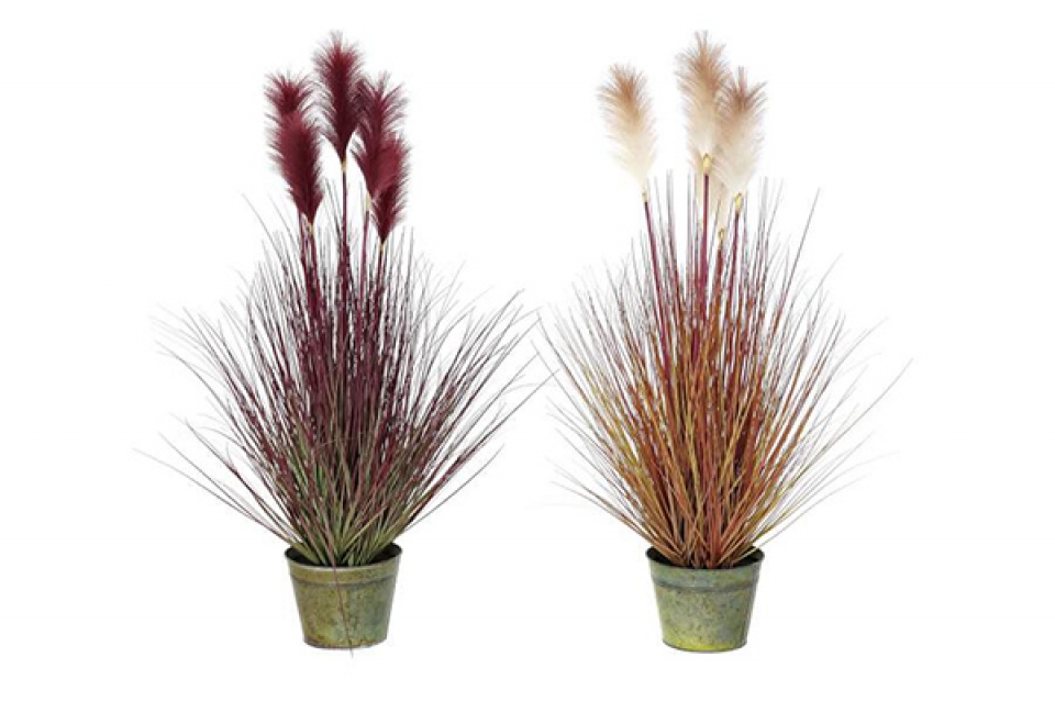 Plant pe brass 30x30x106 feather duster 2 mod.