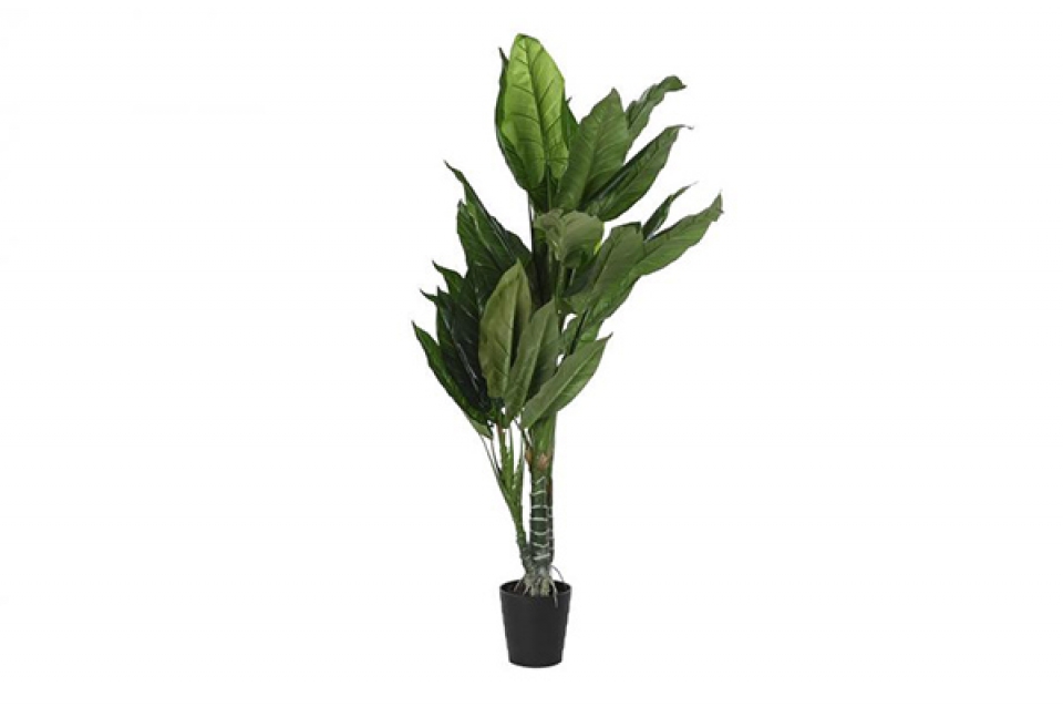 Dekorativna biljka green / pe 60x60x180