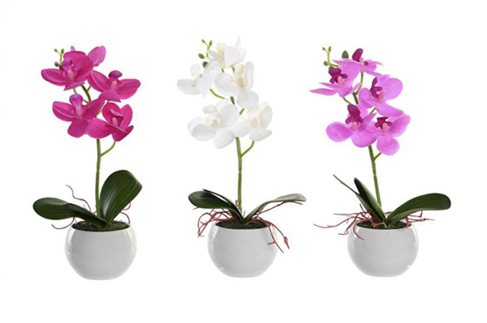 Dekorativna orhideja u boji 10x8x29 3 modela