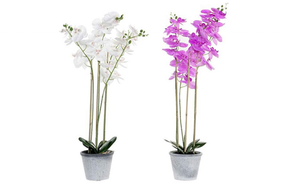 Dekorativna orhideja u saksiji 20x20x72 2 modela