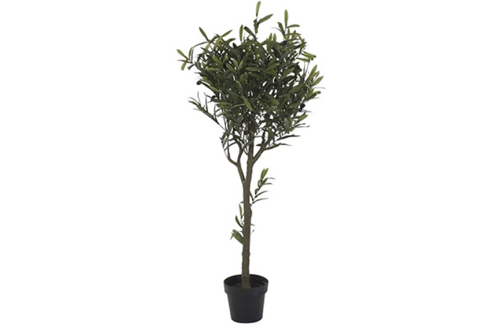 Tree polyester pp 50x142 olive tree green
