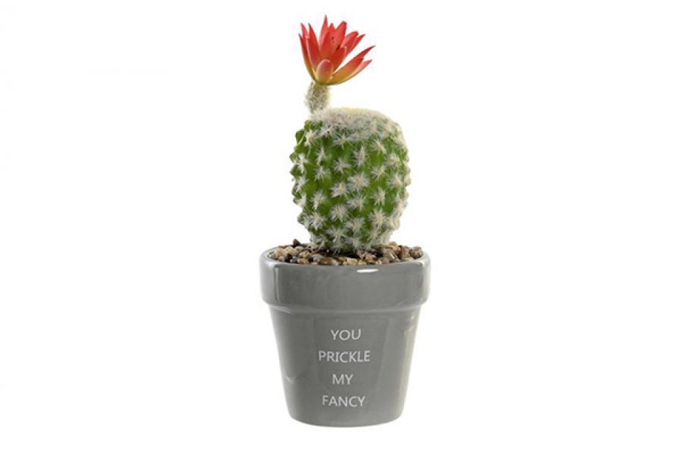 Plant ceramic pe 8x8x20 cactus 2 mod.