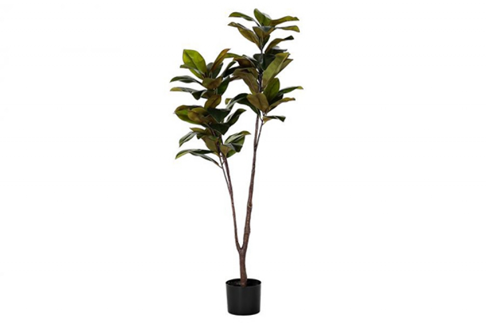Plant pe 40x40x150 magnolia green