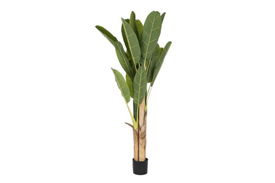 Plant polyester pp 90x90x200 green